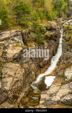 Untere Stufe der Silver Cascade im Frühjahr, White Mountain National Forest, Crawford Notch State Park, Carroll Co, NH Stockfoto