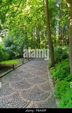 Der Pfad im Park ist, bildlich gesprochen, mit einem farbigen Bürgersteig zwischen die Bäume gelegt. Für ihr Design Stockfoto