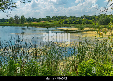 Eine kleine ländliche Teich mit Schilf am Ufer und eine markante Kuppel der Kirche in der Ferne überwuchert. Für ihr Design Stockfoto