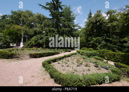 Die geometrische Form der Blumenbeet im City Park ist mit Buchsbaum Büsche gepflanzt. Der Weg für Spaziergänge entlang der hohen Tannen. Für ihr Design Stockfoto