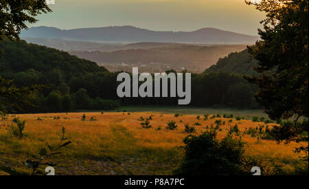 Schöne Lichtung im Wald vor dem Hintergrund der Berge. Für ihr Design Stockfoto