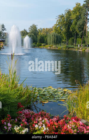 Mehrere Brunnen in einem See mit Seerosen und Schilf, von grünen Bäumen, Rasenflächen und Blumen umgeben, gegen die blauen wolkenlosen Himmel. Für ihre Desig Stockfoto