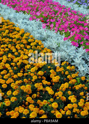 Ein Blumenbeet, als ob durch Pinseln, mit Streifen von Blumen verschiedener Farb- und Arten gestreut gemalt. . Für ihr Design Stockfoto