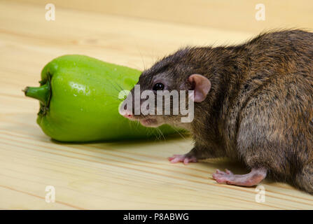 Eine Ratte und Paprika auf einen hölzernen Tisch. Stockfoto