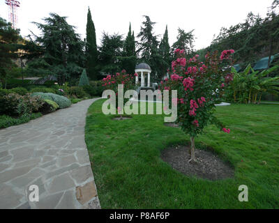 Die Blütezeit mit rosa Farbe junge Bäume auf einer Wiese in der Nähe von einem Stein weg in einem Park inmitten von grünen Büschen und Bäumen vor einem weißen Pavillon und klaren Himmel. o Stockfoto