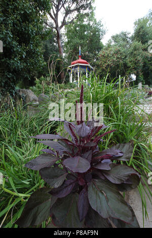 Ein Blumenbeet mit Zierpflanzen und große Steine auf dem Hintergrund einer Gartenlaube mit einem roten Dach. Für ihr Design Stockfoto