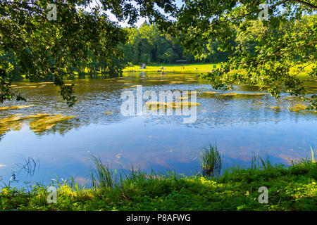Die sonnendurchfluteten grünen Ufer eines ruhigen See oder Teich von hohen, grünen Bäumen umgeben ist. Ruhestätte, Angeln und Picknick. Für ihr Design Stockfoto