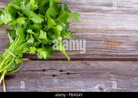 Frischer Koriander oder cilantro Strauß auf alten Holztisch Stockfoto