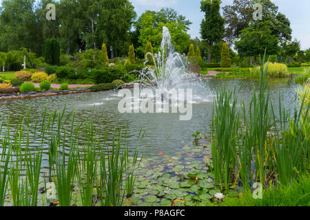 Eine malerische Landschaft mit einem Teich mit einem transparenten Springbrunnen in der Mitte mit Seerosen und Schilf am Ufer wächst. . Für ihr Design Stockfoto