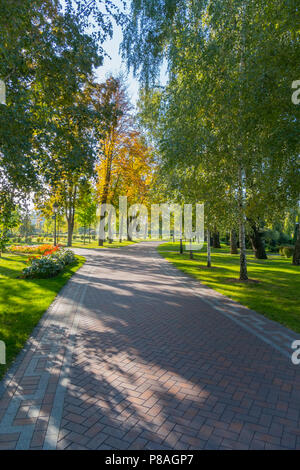 Goldener Herbst in einem Park mit Bäumen fallen die Blätter in den noch grünen Gras. Für ihr Design Stockfoto