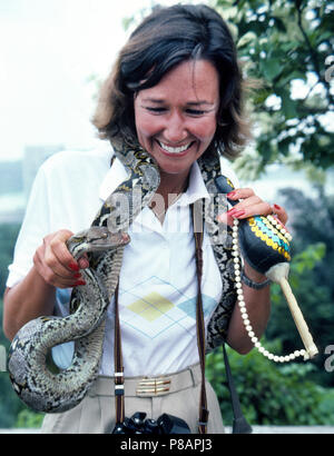 Eine weibliche Touristen ermöglicht eine Tigerpython Schlange um den Hals drapiert werden, während sie für ein Souvenir Foto in Singapur Posen. Das Reptil ist die zahmen Haustier von einem lokalen Schlangenbeschwörer, der sein Leben unterhaltsam macht Besucher zu dieser Insel Nation in Südostasien. Obwohl diese grosse Schlange ausgebildet worden, nicht aggressiv zu sein hat, die CONSTRICTOR kann seinen langen Körper um Beute wickeln und es zu Tode quetschen. Anderen Schlangenbeschwörern verfügen über giftschlangen wie Kobras und Vipern aber die Reißzähne oder Drüsen, die Ihre giftige Gift produzieren, die Reptilien entfernt wurde. Stockfoto