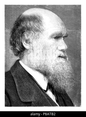 Darwin, Charles (1809-1882), britischer Naturforscher, Stockfoto