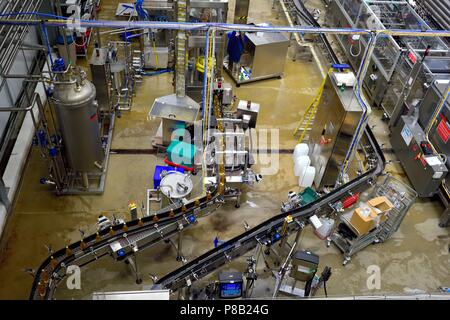 Abfüllung Produktion, Healeys Cyder, Penhallow Farm Cornwall, Truro, Cornwall, England, Großbritannien Stockfoto