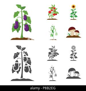 Aubergine, Tomate, Sonnenblumen und Erbsen. Anlage Sammlung Icons im Cartoon, schwarze Art Vektor Symbol lieferbar Abbildung. Stock Vektor