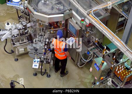 Etikettiermaschine, Abfüllung Produktion, Healeys Cyder, Penhallow Farm Cornwall, Truro, Cornwall, England, Großbritannien Stockfoto