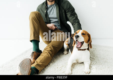 Zugeschnittenes Bild des Menschen sitzen mit Gähnen Hund auf dem Teppich Stockfoto