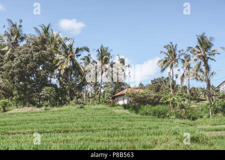 Landschaftlich schöne Aussicht auf Gebäude, verschiedene grüne Pflanzen und blauer Himmel, Bali, Indonesien Stockfoto