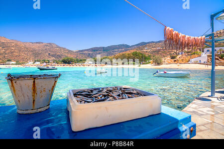 Traditionelle griechische Meer essen, Octopus, trocknen in der Sonne, Milopotas, Insel Ios, Kykladen, Griechenland Stockfoto