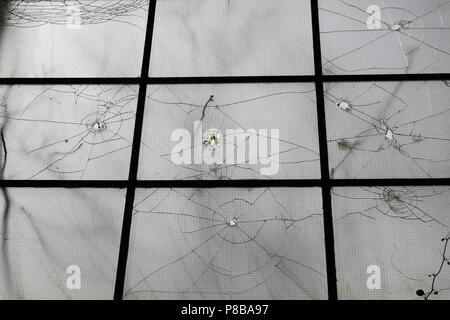 Zweige hinter Glas. Abstrakte transparente Formen auf Risse. Stockfoto
