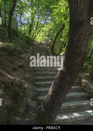 Treppen durch die Landschaft des Nationalparks Krka, Kroatien Stockfoto