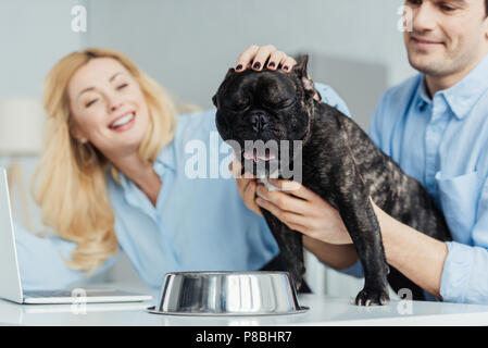 Lächelndes Paar ihre frenchie Hund streicheln am Küchentisch Stockfoto