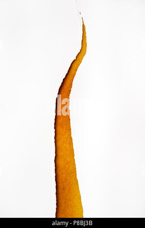 Papier zerrissen in der Hälfte Stockfoto