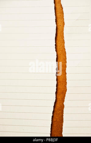 Papier zerrissen in der Hälfte Stockfoto