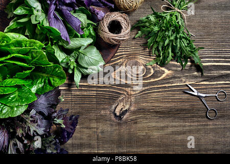 Auswahl an frischen Kräutern auf Holz- Hintergrund. Frisch geerntete Kräuter wie Basilikum, Rucola. Ansicht von oben. Kopieren Sie Platz. Stockfoto