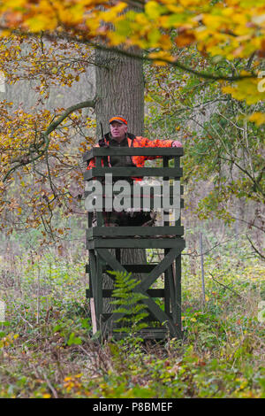 Großwildjäger gekleidet in Orange warten im Ansitz, Reh im Wald während der Jagdsaison im Herbst zu schießen Stockfoto