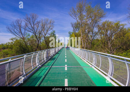 Menschen an der Freiheit Radfahren Brücke, Fahrrad und Fußgänger-Brücke überspannt den Fluss Morava zwischen der Slowakei und Österreich Stockfoto