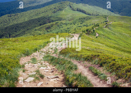 Wanderweg am Wetlina Almen in den Westlichen Bieszczady-gebirge in Polen Stockfoto