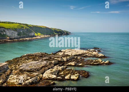 Großbritannien, Nordirland, Co Antrim, Islandmagee, Portmuck felsigen Ufer Stockfoto