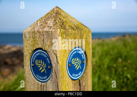 Großbritannien, Nordirland, Co Londonderry, Portstewart, der Berner, Causeway Coast Path post Stockfoto