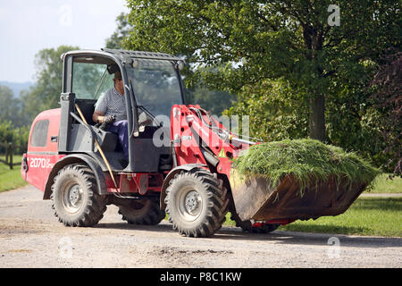 Gestüt Goerlsdorf, frisch gemähtem Gras, die in einer Ladeschaufel transportiert Stockfoto