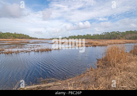 Küstennahen Feuchtgebiet an einem sonnigen Tag in den Santee Coastal Reserve in South Carolina Stockfoto