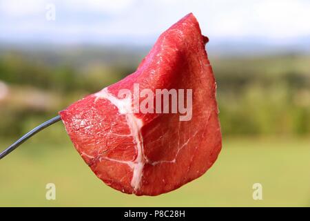 Italienische Küche - Picknick in der Toskana. Carpaccio vom Rind. Stockfoto