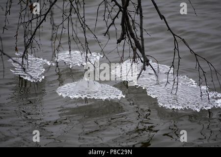 Eisbrocken verbunden zu verzweigen Stockfoto