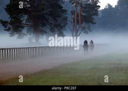 Hoppegarten, Pferde und Reiter am Morgen arbeiten im Nebel Stockfoto