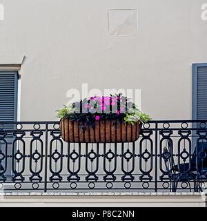 New Orleans, LA USA - Mai 9, 2018 - Blumen im Korb auf Quatsch im French Quarter Stockfoto