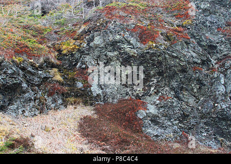 Reisebericht - Neufundland, Kanada, Landschaften und malerische, kanadische Provinz, "die Rock' Stockfoto