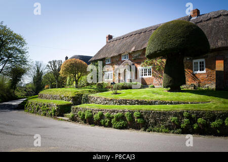Reetgedeckte Peacock Cottage in Wansborough Wiltshire England Großbritannien Stockfoto