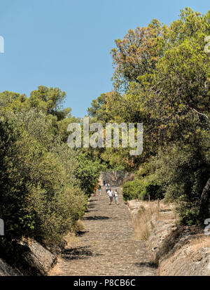 Ein Fußweg vom Schloss Bellver in Palma de Mallorca hinunter durch den Wald in die Stadt. Stockfoto