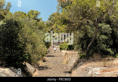 Ein Fußweg vom Schloss Bellver in Palma de Mallorca hinunter durch den Wald in die Stadt. Stockfoto