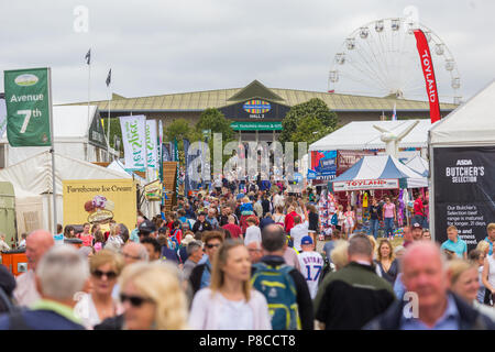 Harrogate, North Yorkshire, UK. 10. Juli 2018. Die großen Yorkshire Show ist eine legendäre dreitägige Veranstaltung und eine der größten landwirtschaftlichen Veranstaltungen in der englischen Kalender. Jedes Jahr werden mehr als 130.000 Besucher und über 8.500 Tiere laufen auf der großen Yorkshire Showground in Harrogate zu konkurrieren, Kontakte knüpfen und Feiern. Die 160 großen Yorkshire Show ist ein spektakulärer zu sein, feiern die Besten für Ernährung, Landwirtschaft und ländliche Förderung beim Werfen in ein paar Überraschungen dieser zu gedenken. unglaublichen Meilenstein. © Tom Holmes/Alamy leben Nachrichten Stockfoto