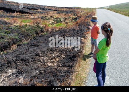 Sally Gap, Wicklow, Irland. 10. Juli 2018: Die Kinder im Sally Lücke in Wicklow Mountains auf die verheerenden Schäden, die durch die jüngsten Ginster Brände geschehen. Schwelbrand noch sichtbar in einigen Teilen mit Rauch driften über den bogland. Quelle: Michael Grubka/Alamy leben Nachrichten Stockfoto