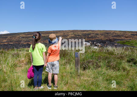 Sally Gap, Wicklow, Irland. 10. Juli 2018: Die Kinder im Sally Lücke in Wicklow Mountains auf die verheerenden Schäden, die durch die jüngsten Ginster Brände geschehen. Schwelbrand noch sichtbar in einigen Teilen mit Rauch driften über den bogland. Quelle: Michael Grubka/Alamy leben Nachrichten Stockfoto