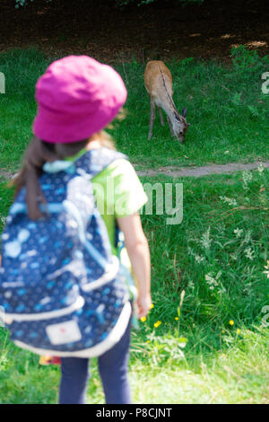 Glendalough, Wicklow, Irland. 10. Juli 2018: Touristen, die in der Glendalough Tal mit seinen berühmten Kloster an einem sonnigen Dienstag Nachmittag. Rehe grasen im Gras in der Nähe der Eingang zur Klosteranlage. Stockfoto