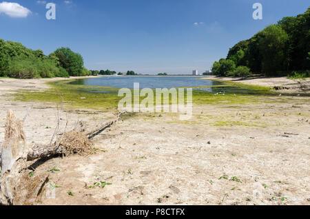 Edgbaston, Birmingham, Großbritannien. 11. Juli 2018. Die anhaltende Trockenheit in Birmingham hat sehr niedrige Wasserstände bei Edgbaston Behälter, der den Kanal Netzwerk verursacht. Credit: Nick Maslen/Alamy leben Nachrichten Stockfoto