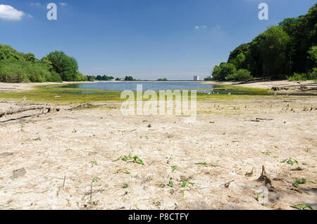 Edgbaston, Birmingham, Großbritannien. 11. Juli 2018. Die anhaltende Trockenheit in Birmingham hat sehr niedrige Wasserstände bei Edgbaston Behälter, der den Kanal Netzwerk verursacht. Credit: Nick Maslen/Alamy leben Nachrichten Stockfoto