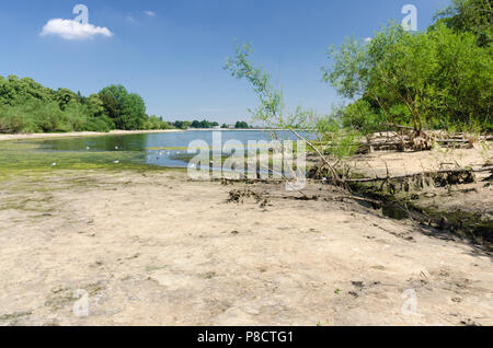 Edgbaston, Birmingham, Großbritannien. 11. Juli 2018. Die anhaltende Trockenheit in Birmingham hat sehr niedrige Wasserstände bei Edgbaston Behälter, der den Kanal Netzwerk verursacht. Credit: Nick Maslen/Alamy leben Nachrichten Stockfoto